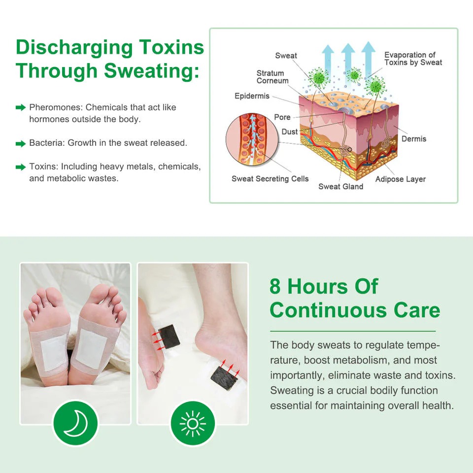 🌿 Detox Foot Pads 5